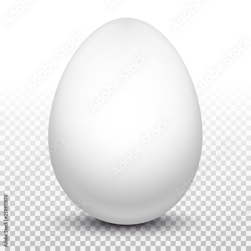 White chicken egg. Layout for Easter pattern. Eco product.3D realistic image Isolated on transparent background. Vector illustration.