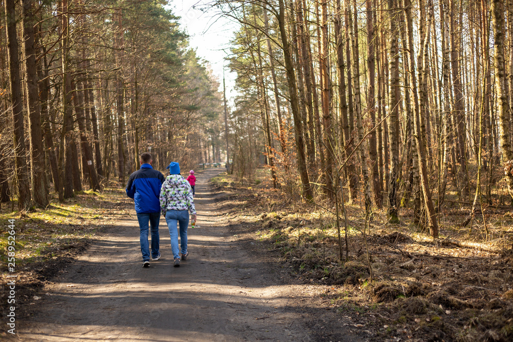Fototapeta premium spacery po lesie