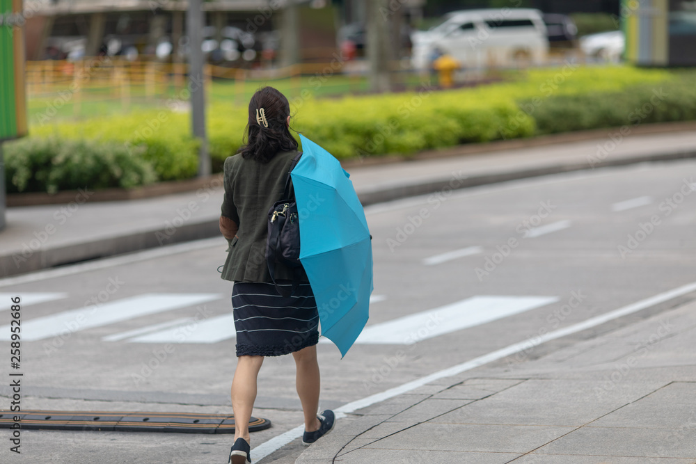 Asian brunette woman walking with blue umbrella in the street next to a zebra. Kuala Lumpur. Malaysia. Selective focus