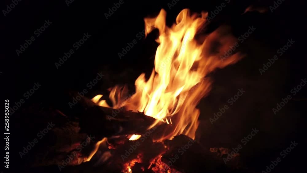 4K Video Defocus close up shot of Flames burning firewood. Bonfire in outdoors campfire on black background at night. 4K Video Defocus close up shot of Flames burning firewood. Bonfire in outdoors campfire on black background at night.