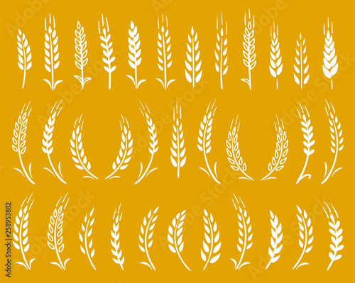 white hand drawn wheat ears icons set