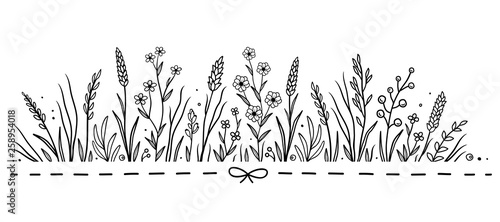 hand drawn pattern with flowers and herbs