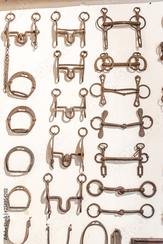 Metallic horse bits hanging on a white wall