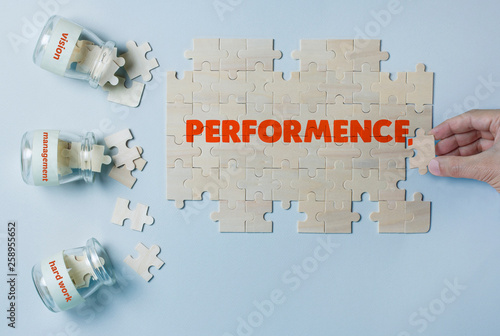 PERFORMENCE BUILDING PUZZLE photo