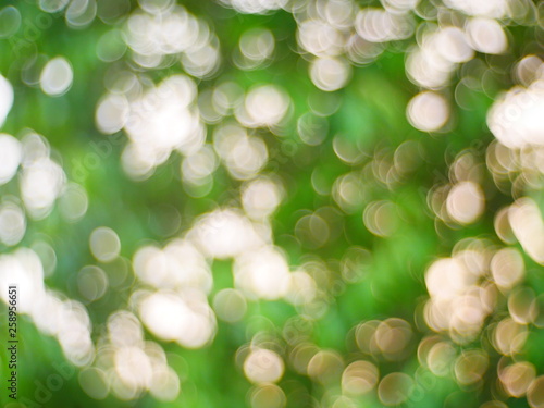 abstract green background with bokeh