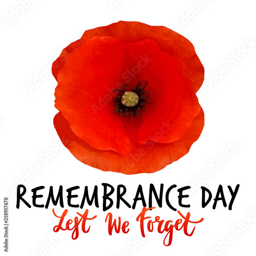Remembrance day vector poster design