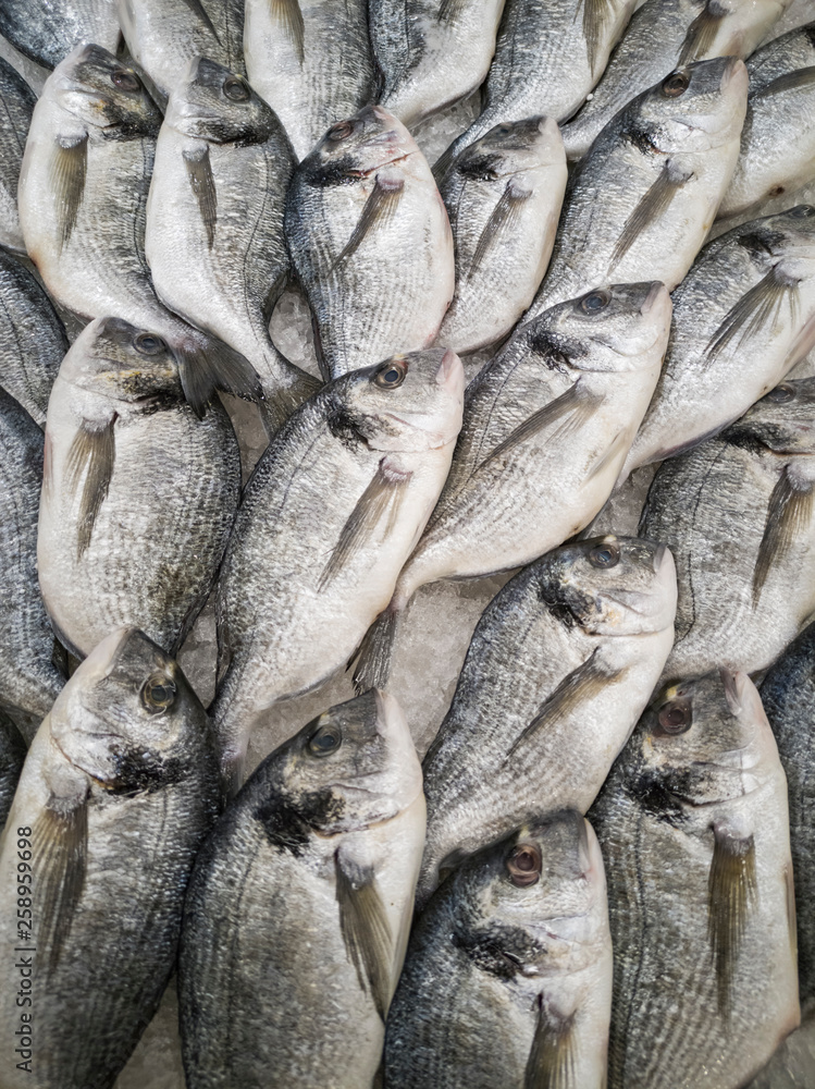 Obraz premium Fresh fishes at the market
