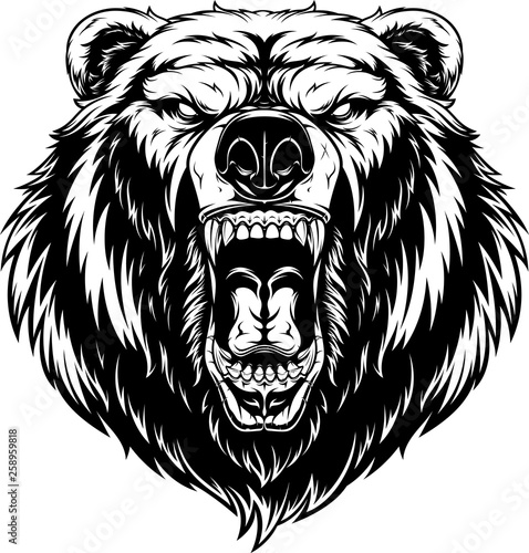 Head of a ferocious bear