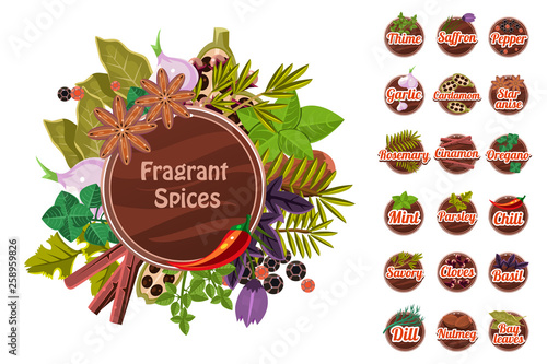 Fragrant spices set, thyme, saffron, pepper, garlic. cardamom, star anise, rosemary, cinnamon, oregano, mint, parsley, chilli, cloves, savory, basil, dill, nutmeg, bay leaf vector Illustration