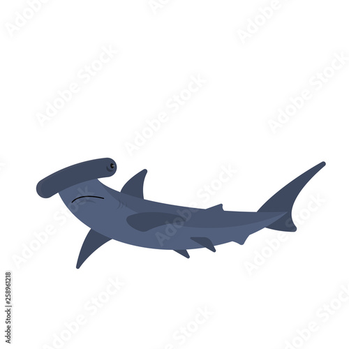 Hammerhead shark
