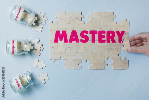 MASTERY BUILDING PUZZLE