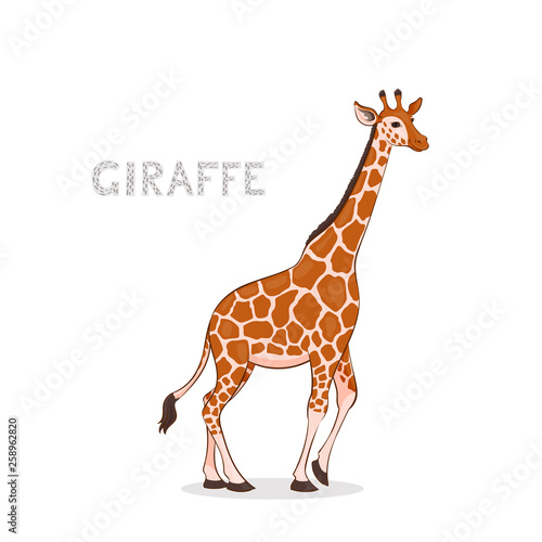 Fototapeta Naklejka Na Ścianę i Meble -  Vector illustration, a cartoon giraffe, isolated on a white background. Animal alphabet.
