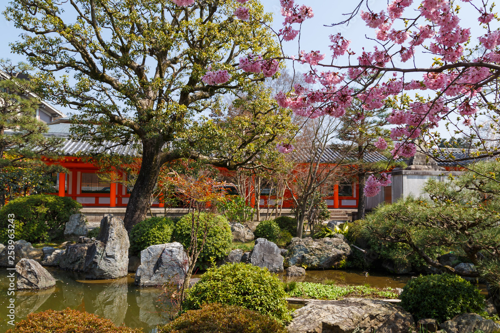 Japanese garden in spring with a pond, red pavilion, spruce and sakura trees. Calm and tranquility.