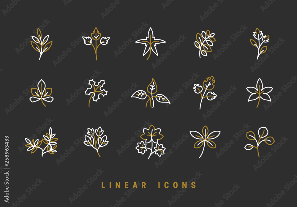 Icons flowers, wildflowers, herbs, leaf, in linear style Icons flowers, wildflowers, herbs, leaf, in linear style