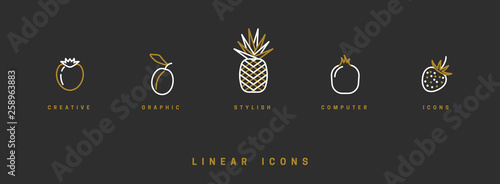 Fruit icons set in linear style. Vector illustration