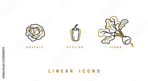 Icons vegetables in linear style. set icon cabbage, beet, pepper vector graphics.