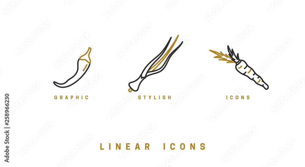 Fototapeta premium Icons vegetables in linear style. set food icon vector graphics