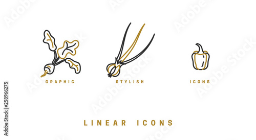 Icons vegetables in linear style. set food icon vector graphics