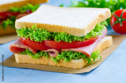 Sandwich with ham, toast bread and fresh vegetables