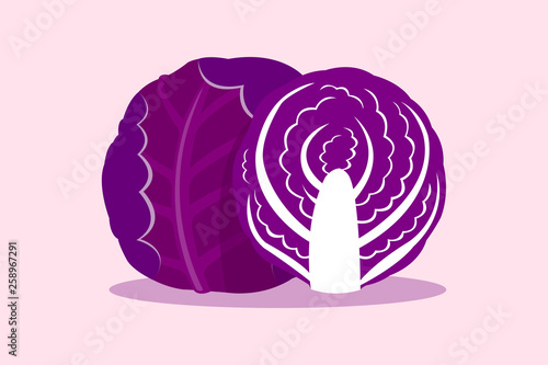 Purple cabbage isolated on purple background.