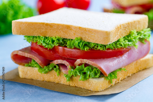Homemade sandwich with ham, toast bread and fresh vegetables close up on blue background