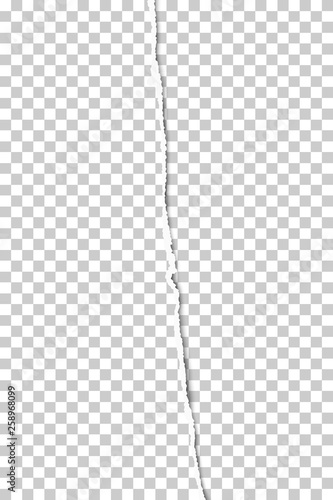 Vertical sheet of transparent paper teared from top to bottom placed on transparent background. Vector paper template.