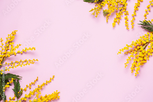 Spring yellow flowers frame on trendy background, top view, flat lay. Copyspace for text.