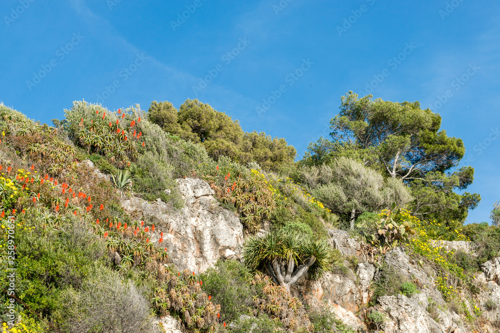 Seacoast of Cap Martin in a sunny winter day Seacoast of Cap Martin in a sunny winter day