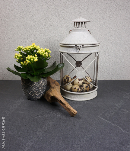 Kalanchoe calandiva blossfeldiana indoor plant with candles and lapwing and stone eggs in a basket with a wooden star  and driftwood decoration photo