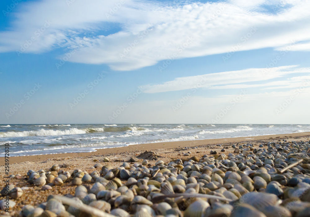 seascape with seashells in the foreground seascape with seashells in the foreground