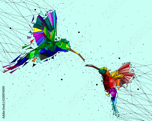 Abstract of Low poly couple hummingbird with point connecting network,animal geometric concept,vector.	