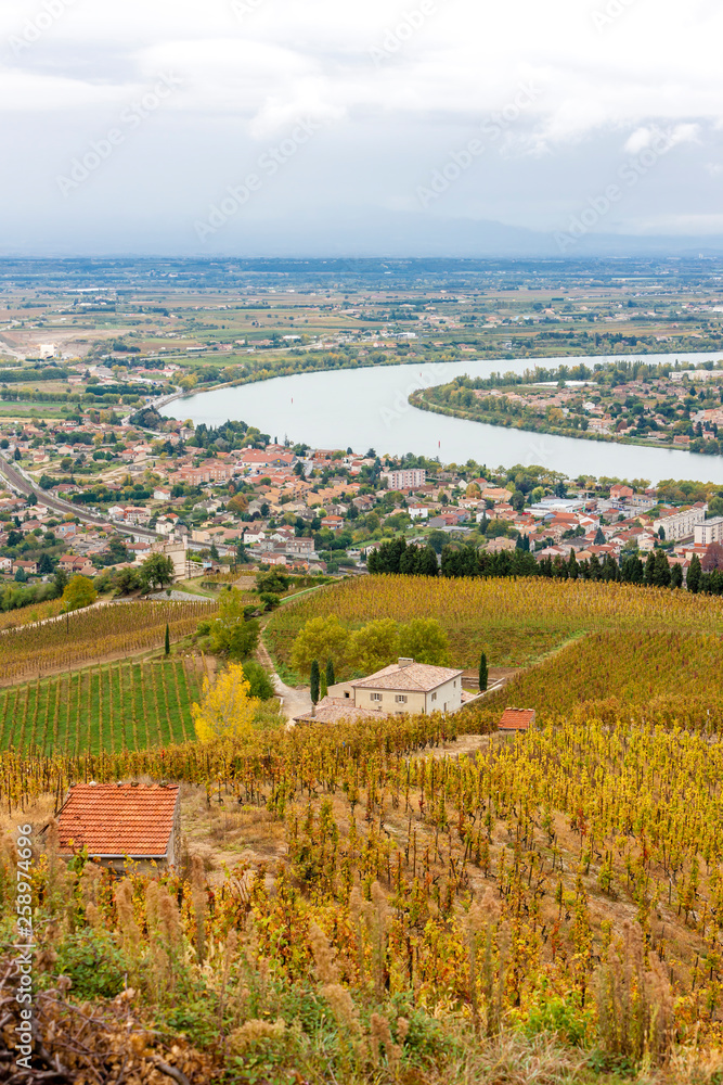 autumn vineyards in Rhona region