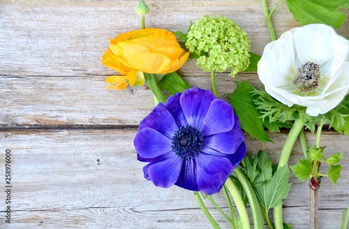 Frühling - Frühlingsblumen