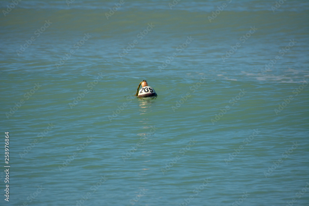 Fototapeta premium Crab pot floating in the gulf of mexico of a st. petersburg, Florida Beach