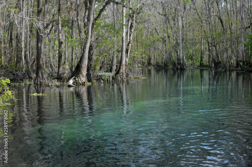 Ichetucknee river in Ichetucknee Springs State Park, Florida