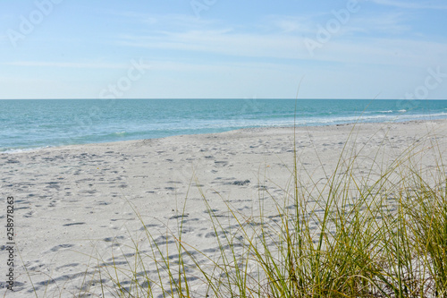 Tropical white sand beach on the gulf coast of Florida near St. Petersburg