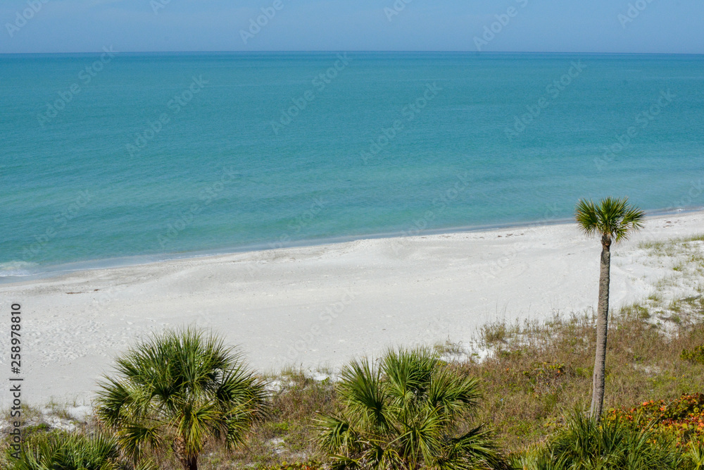 Tropical white sand beach on the gulf coast of Florida near St. Petersburg