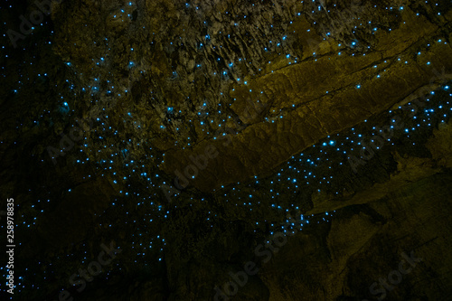 Amazing New Zealand Tourist attraction glowworm luminous worms in caves. High ISO Photo.