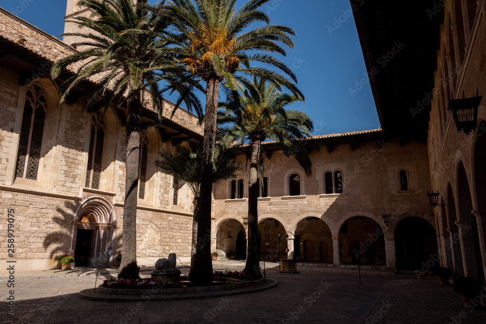 Naklejka premium architectural construction in the city of palma de mallorca