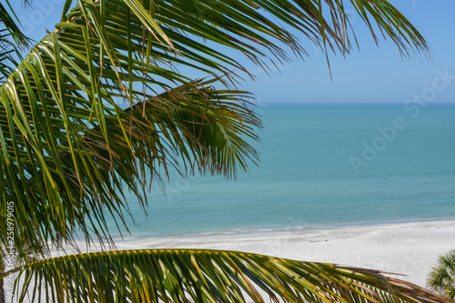 View of the tropical Florida Gulf Coast water with a palm tree in the foreground. This picture was taken on Longboat Key near St. Petersburg