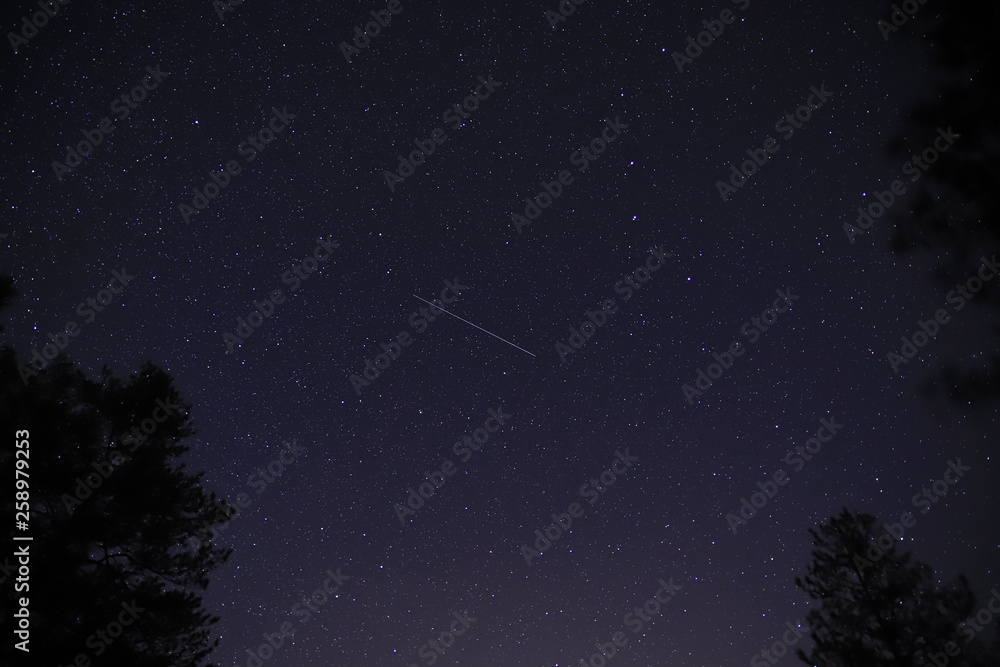 Fototapeta premium night sky with stars