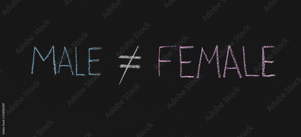 Fototapeta premium Word Male is not equal Female, chalkboard sketch