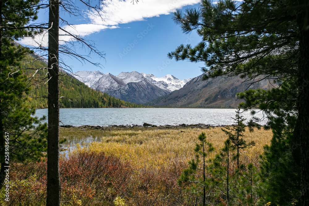 Beautiful views through the large green trees on a lake outside of town Beautiful views through the large green trees on a lake outside of town