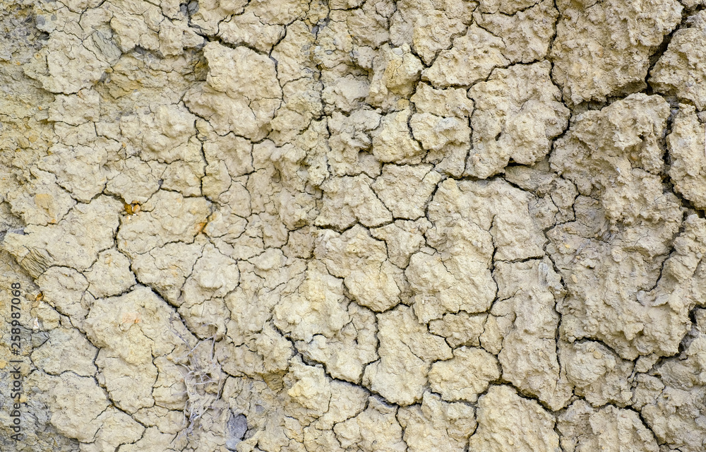 Dry cracked earth texture Dry cracked earth texture