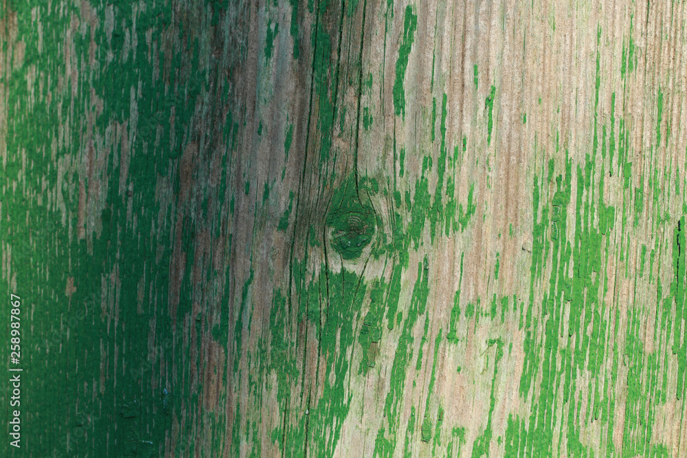 Fototapeta premium wooden texture background