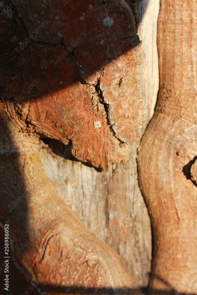 Obraz premium wooden texture background