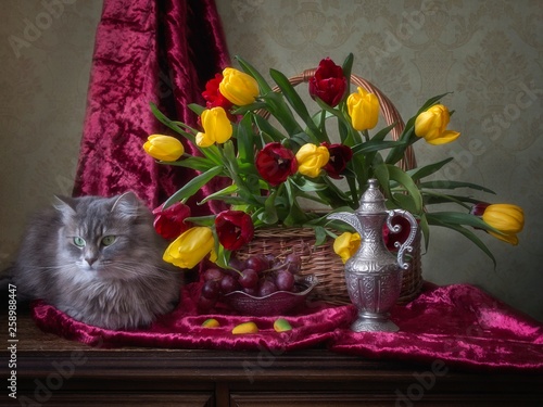 Photo Still life with multicolored bouquet and pretty kitty