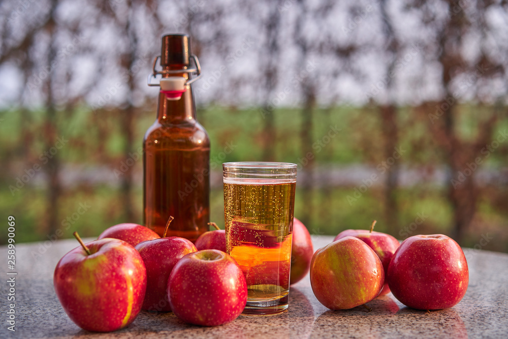 Naklejka premium Rustic bottle and glass of fresh sparkling apple cider and red riped apples on the stone granit table in the garden restaurant during spring sunny evening, Picture taken in golden hour before sunset.