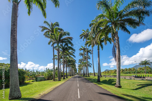 Allée Dumanoir Guadeloupe