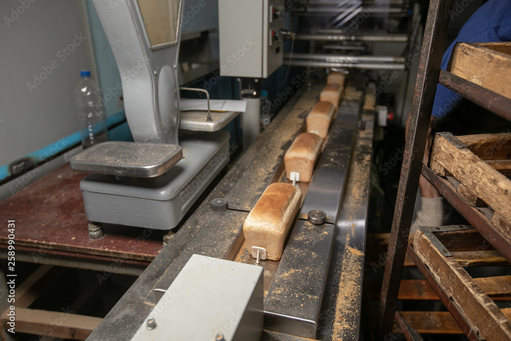 Manufacture of bread. Conveyor with dough. Capacity of the dough. Kneading dough at the bakery. Workshop of the manufacture dough. Manufacture of bread. Conveyor with dough. Capacity of the dough. Kneading dough at the bakery. Workshop of the manufacture dough.